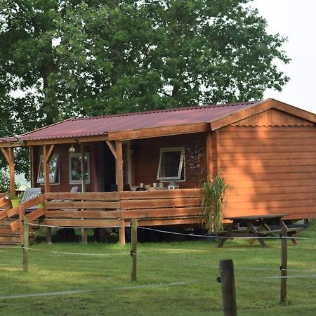 VrieschelooTiny House Het Reebokje公寓 外观 照片