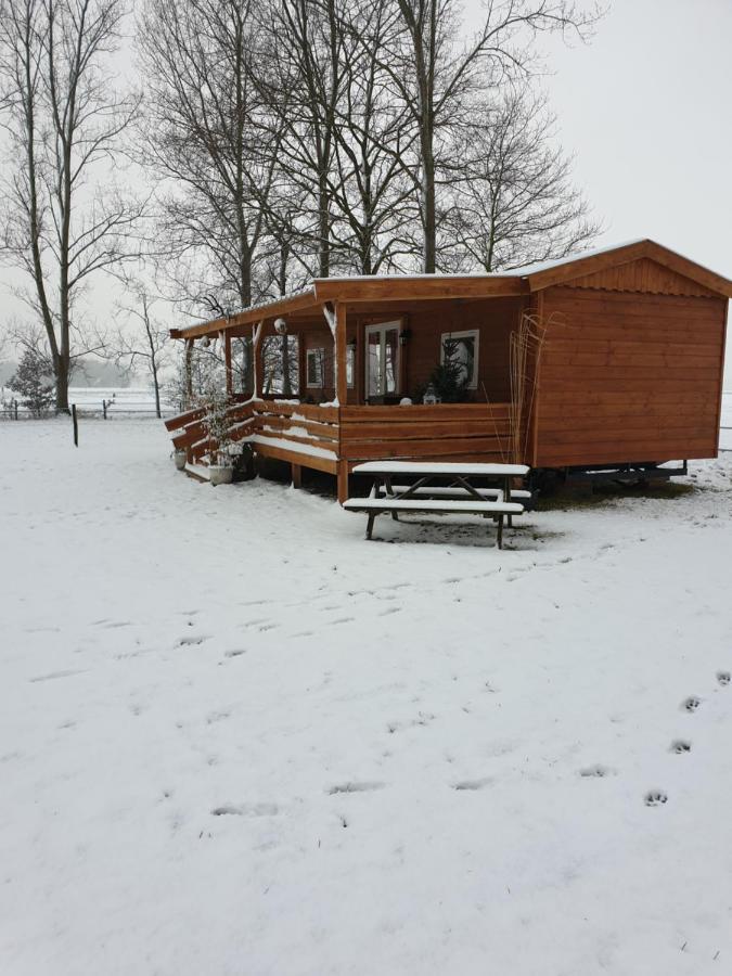 VrieschelooTiny House Het Reebokje公寓 外观 照片