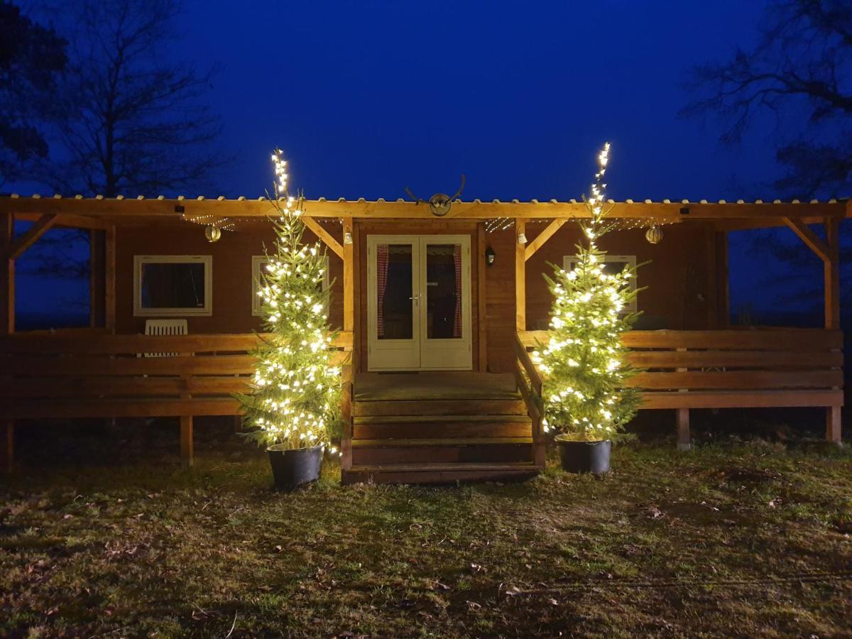 VrieschelooTiny House Het Reebokje公寓 外观 照片